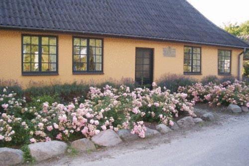 Præstø Dyrlev Bed & Breakfast מראה חיצוני תמונה