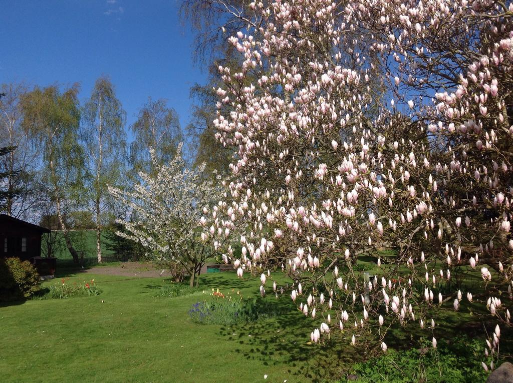Præstø Dyrlev Bed & Breakfast מראה חיצוני תמונה