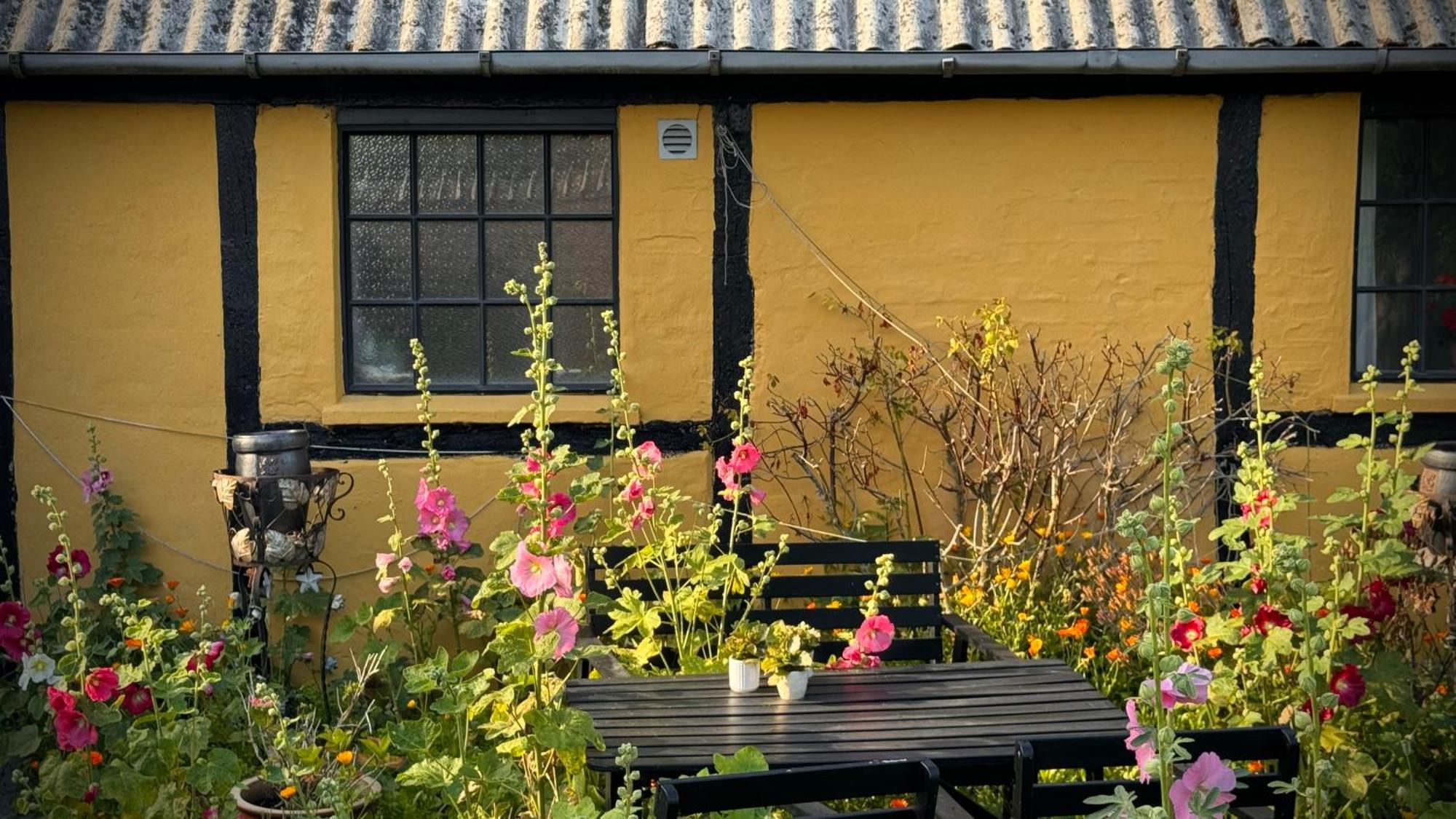 Præstø Dyrlev Bed & Breakfast מראה חיצוני תמונה
