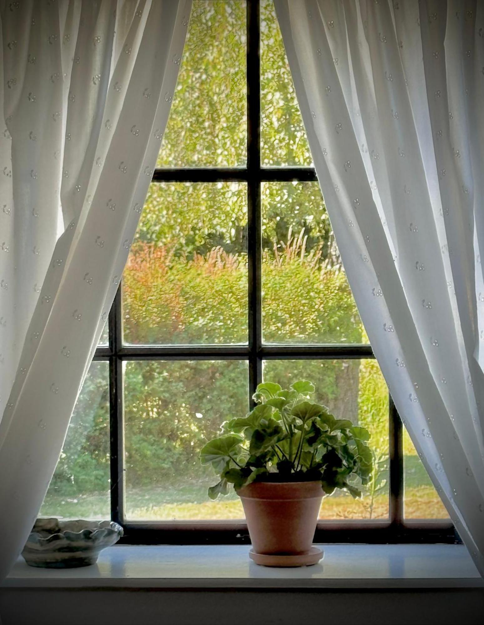 Præstø Dyrlev Bed & Breakfast מראה חיצוני תמונה