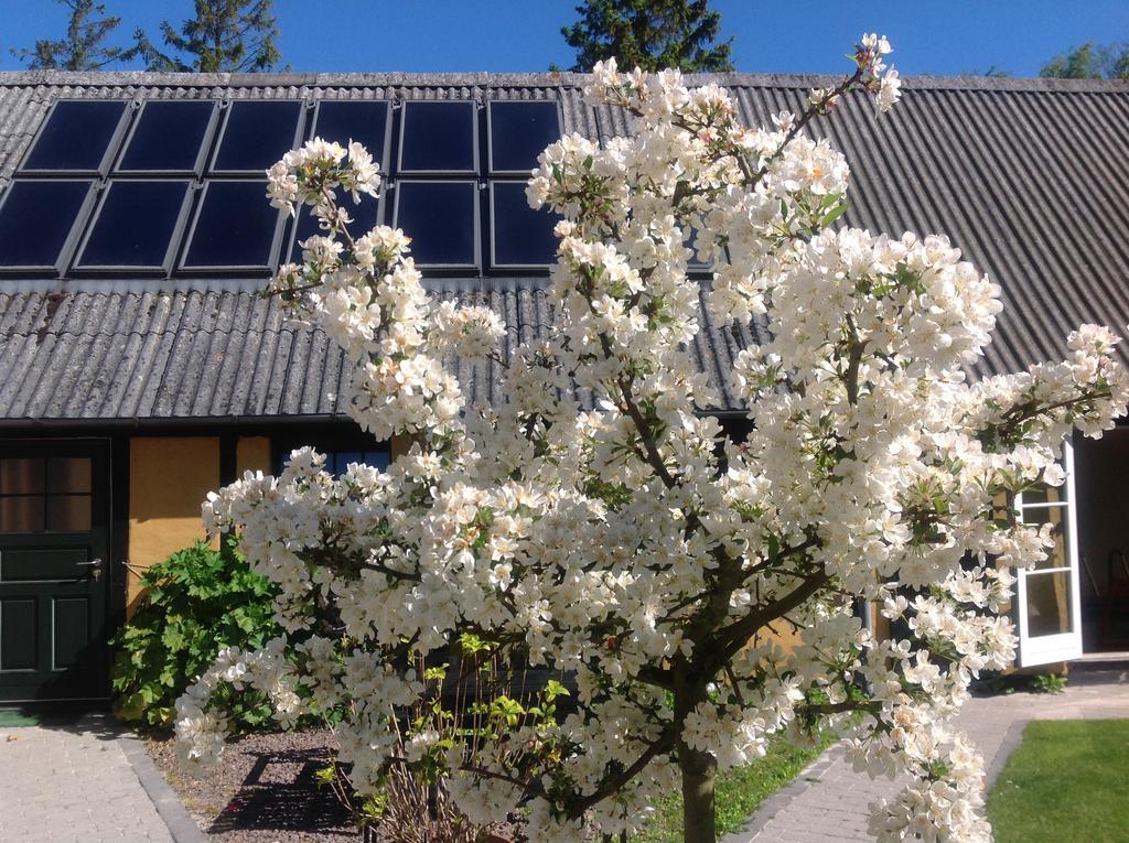 Præstø Dyrlev Bed & Breakfast מראה חיצוני תמונה